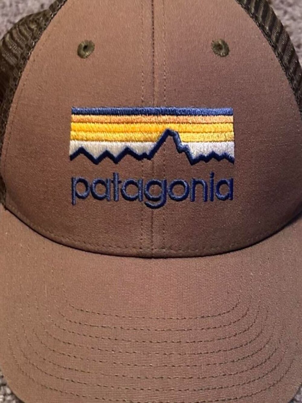 Patagonia Men's Brown and Khaki Hat